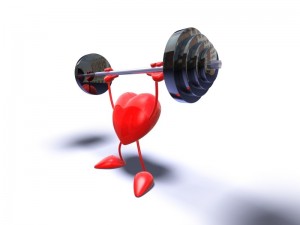 heart weights